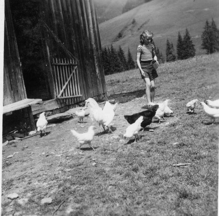 Ma maman qui donne a manger aux poules. Un photo assez plate.